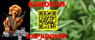 крисы Бузулук